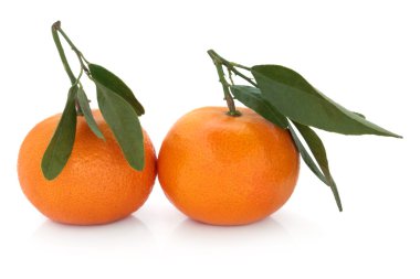 Satsuma Fruit clipart