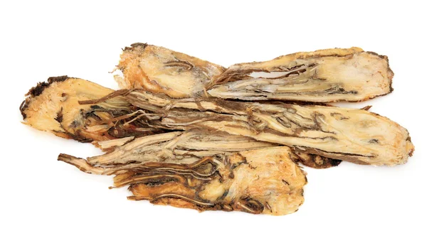 Angelica Root Herb — Stock Photo, Image