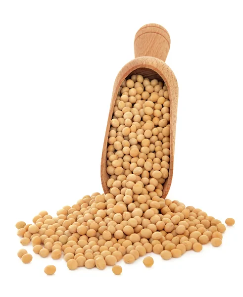 Soya Beans — Stock Photo, Image