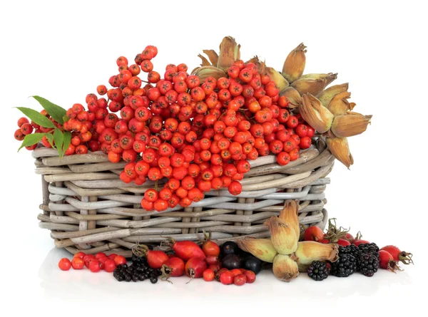 Autumn Harvest — Stock Photo, Image