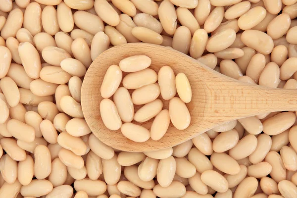 Cannellini Beans — Stock Photo, Image