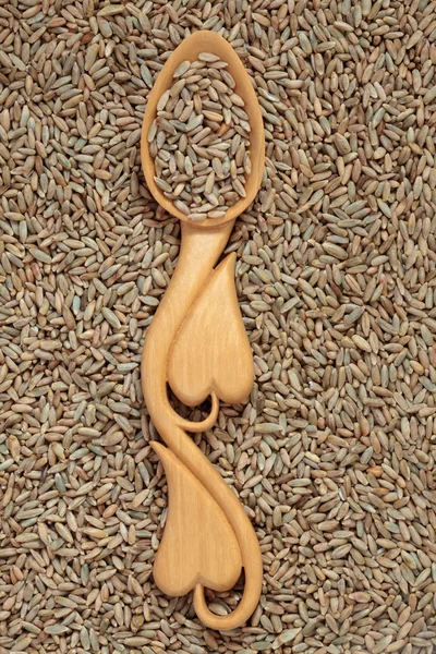 Grão de trigo de centeio — Fotografia de Stock