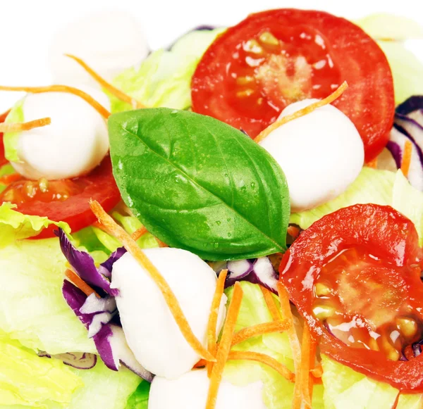 Egészséges saláta — Stock Fotó