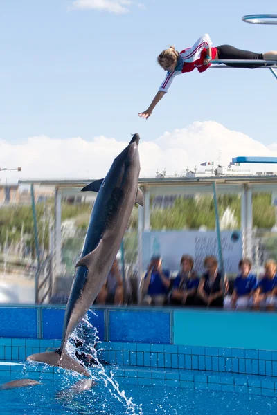Salto de golfinho — Fotografia de Stock