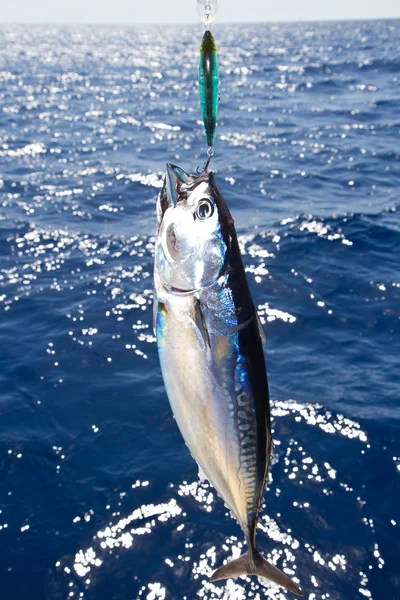 Tonijn mediterrane big game vissen — Stockfoto