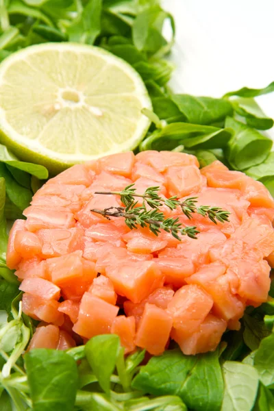 Salmon tartare — Stock Photo, Image
