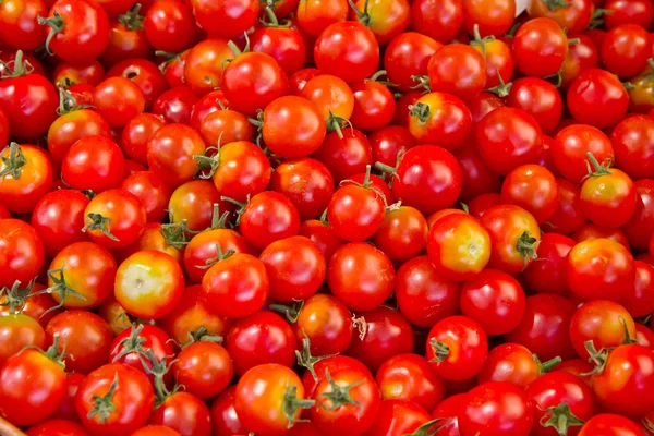 stock image Fresh tomatoes