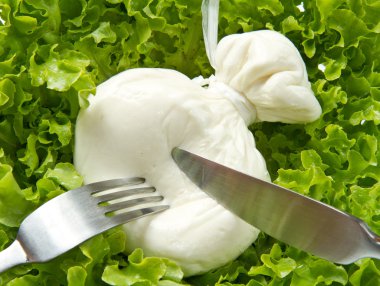 burrata salata üzerinde