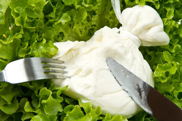 Burrata op salade — Stockfoto