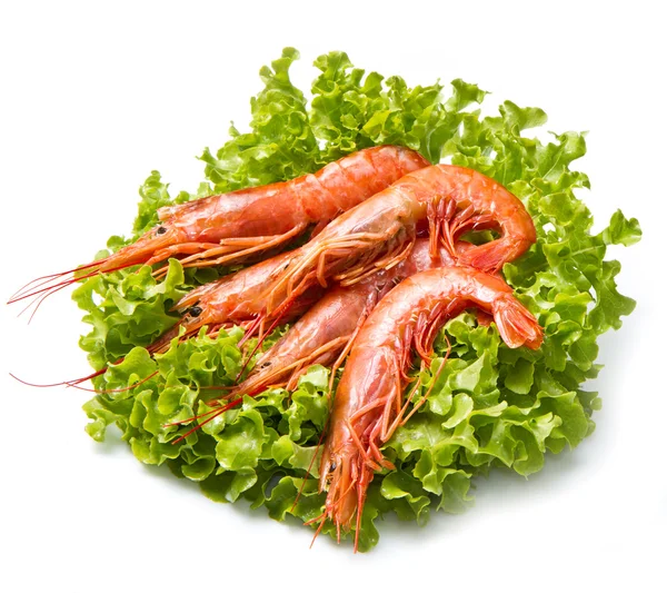 Fűrészes garnélarák friss salátán — Stock Fotó