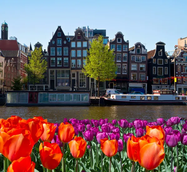 En av kanalene i Amsterdam – stockfoto