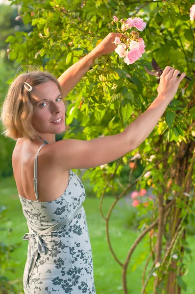 Attractive woman looking at roses — Stock Photo, Image