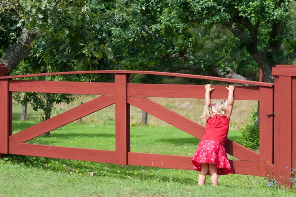 Little girl playing on a gate — Stock Photo, Image