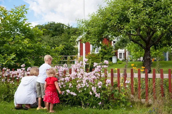 Mère et enfants cueillant des fleurs — Photo