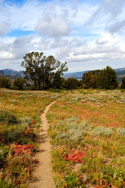 Trilha de caminhadas califórnia — Fotografia de Stock