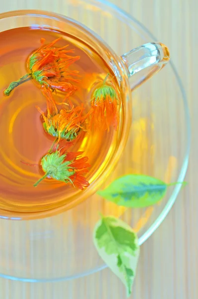 Marigold herbal tea — Stock Photo, Image