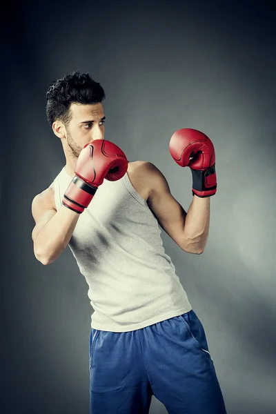 Boxeador en posición defensiva —  Fotos de Stock