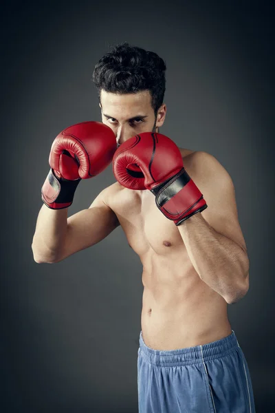 Boxeador en posición defensiva — Foto de Stock