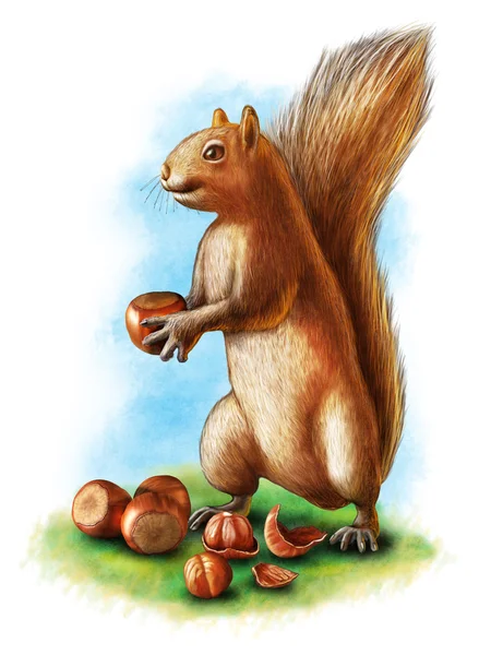 Hazelnuts and squirrel — Stock Photo, Image
