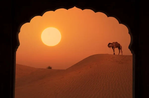 Silhouette of arabic architecture on desert — Stock Photo, Image