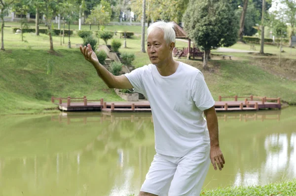 Aziatische senior presterende taichi — Stockfoto