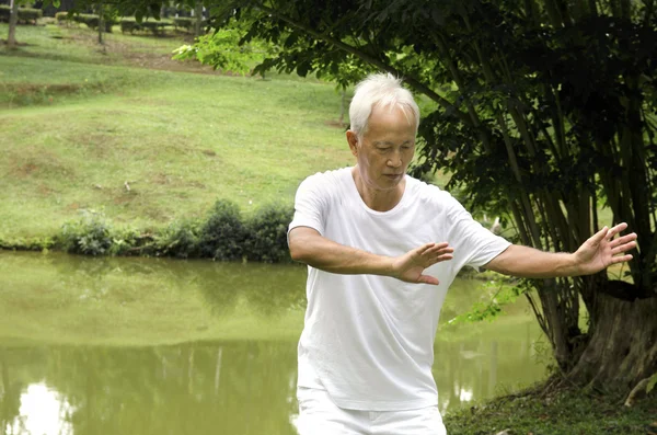 Asiatischer Senior mit Taichi — Stockfoto