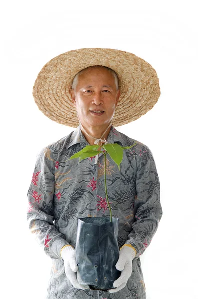 Asya kıdemli erkek — Stok fotoğraf