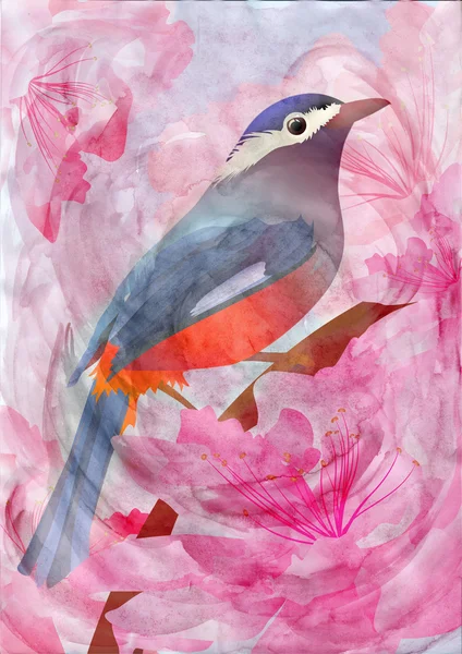 ピンクの花と鳥水彩イラスト — ストック写真