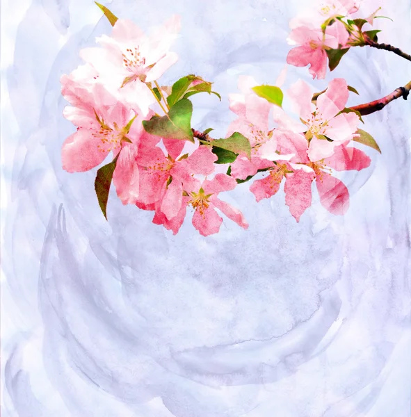 Bahar ağaçları suluboya resimleriyle çiçek açar. — Stok fotoğraf