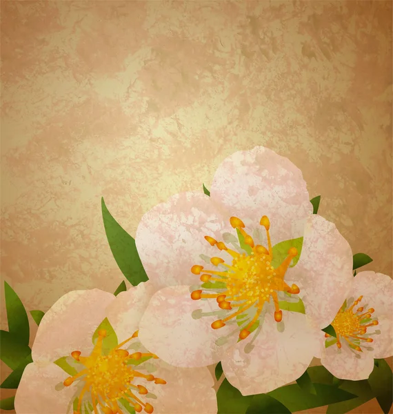 Wildrosen weiße Blumen Grunge Vintage-Stil Illustration — Stockfoto