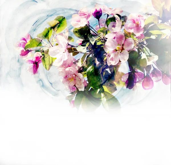 Primavera árvores flor aquarela ilustração — Fotografia de Stock