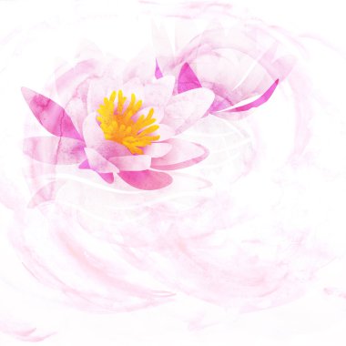 Pink water lily watercolor illustration isolated on white clipart