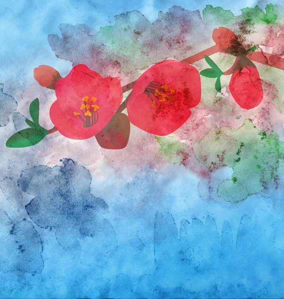Renkli arka plan ile suluboya garnet çiçek — Stok fotoğraf