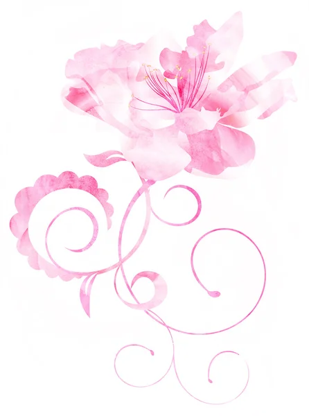 孤立在白色的粉色水彩花卉曲线图 — 图库照片