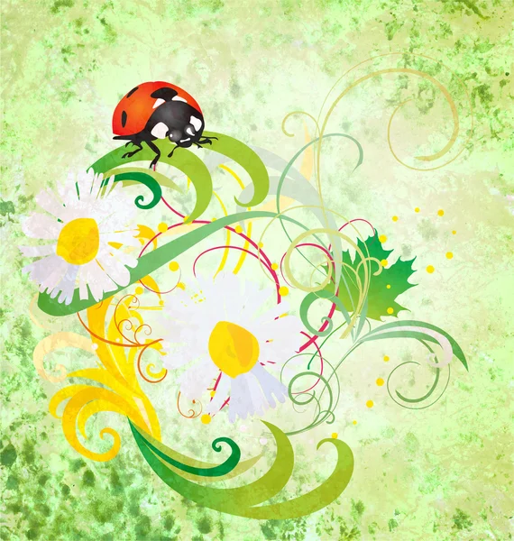 Grunge illustration with ladybird and daisy flowers green vintag — Stock Photo, Image