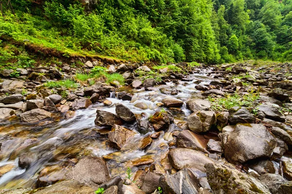Flusstal — Stockfoto