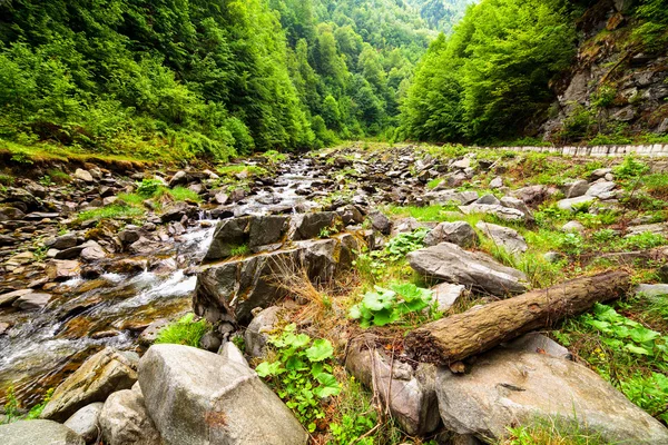 River valley — Stock Photo, Image