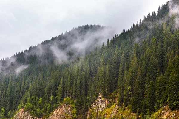 Maczeta góry w Rumunii — Zdjęcie stockowe
