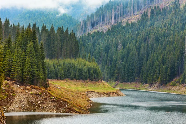 Озеро Galbenu в Румунії — стокове фото