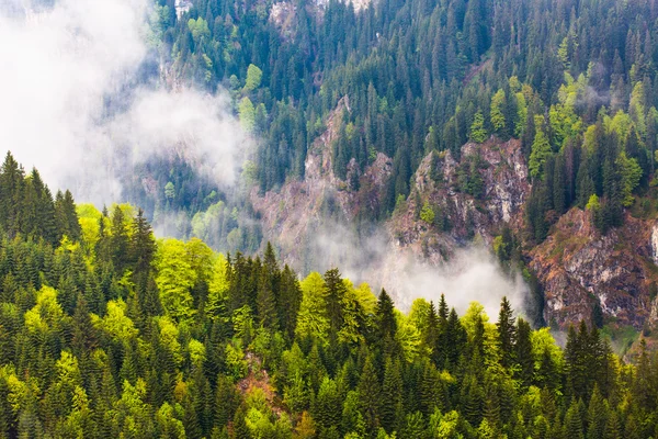 Parang mountains in Romania — Stock Photo, Image