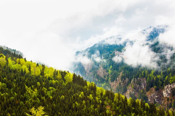 Parang pohoří v Rumunsku — Stock fotografie