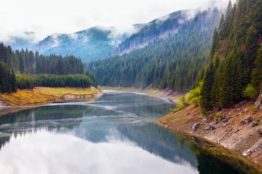 Lake Galbenu in Romania clipart