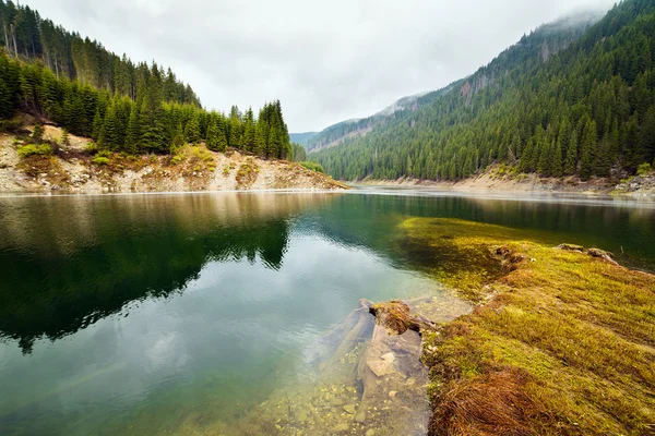 Jezioro galbenu w Rumunii — Zdjęcie stockowe
