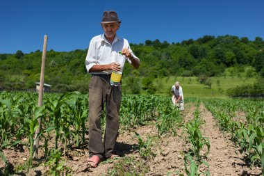 Old rural worker drinking water outdoor clipart