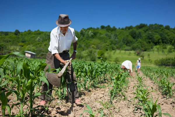 Família trabalhando a terra — Fotografia de Stock