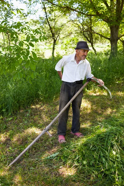 Yaşlı adam onun tırpan keskinleştirme — Stok fotoğraf