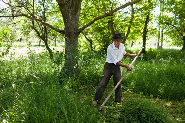 ビンテージ大鎌で刈り取りシニアの農夫 — ストック写真