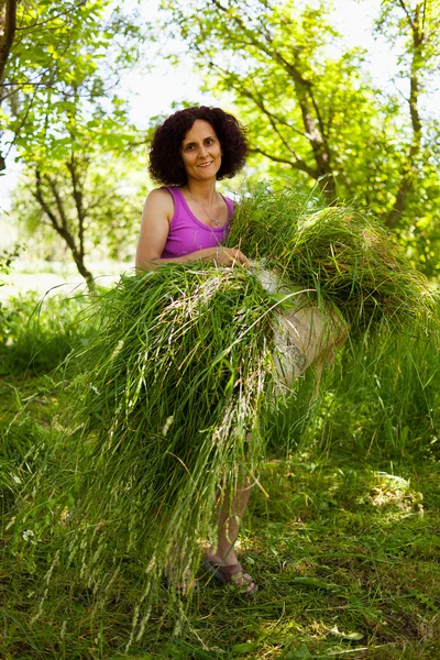 Junge Frau häuft gemähtes Gras an — Stockfoto