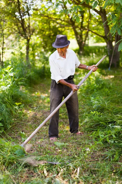 ビンテージ大鎌で刈り取りシニアの農夫 — ストック写真