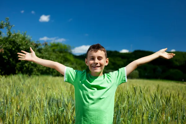 Счастливый мальчик на пшеничном поле — стоковое фото